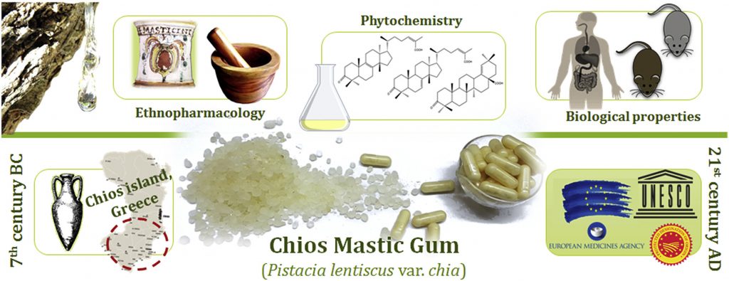 CHIOS MASTIC GUM: THE MOST RECENT REVIEW ABOUT ITS PHARMACOLOGICAL  QUALITIES – IASIS PHARMA